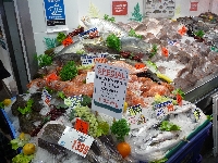 Sydeny - Das Ende der grossen Australienreise