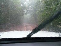 CY Tag 4: Loyalty Beach