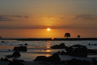 CY Tag 6: Viryl Point