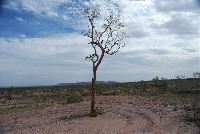 Palm Valley - Ist Billy jetzt ganz kaputt?!?
