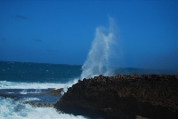 Canarvon - "Nothern Coastline"