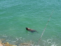 Geraldton Tag 2 - "Die Prawn-Suche"