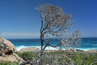 Yalgorup National Park